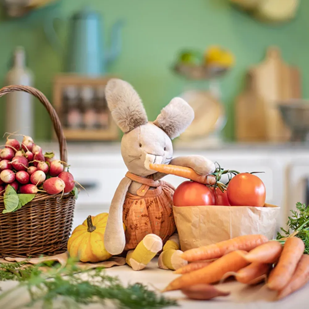 Moulin Roty Clay the Bunny - 35cm|Cottontails Baby Sale