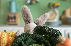 Moulin Roty Clay the Bunny - 35cm|Cottontails Baby Sale