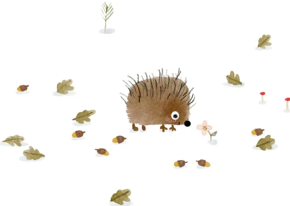 Postcard & Envelope - Little Hedgehog|Cottontails Baby Discount