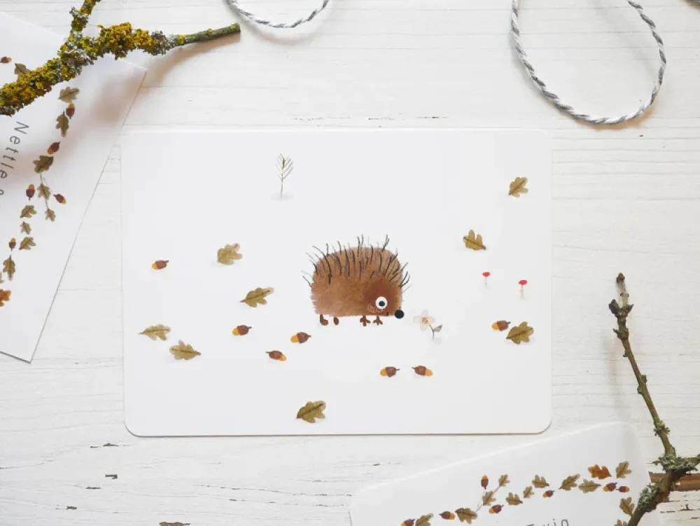 Postcard & Envelope - Little Hedgehog|Cottontails Baby Discount