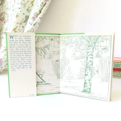 VINTAGE book - Water-Rat's Picnic (1969)|Cottontails Baby