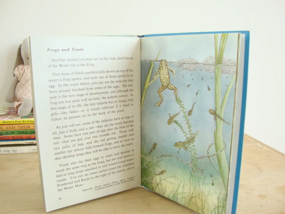 VINTAGE Ladybird book - Pond Life (1966)|Cottontails Baby