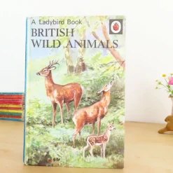 VINTAGE Ladybird book - British Wild Animals (1971)|Cottontails Baby Online