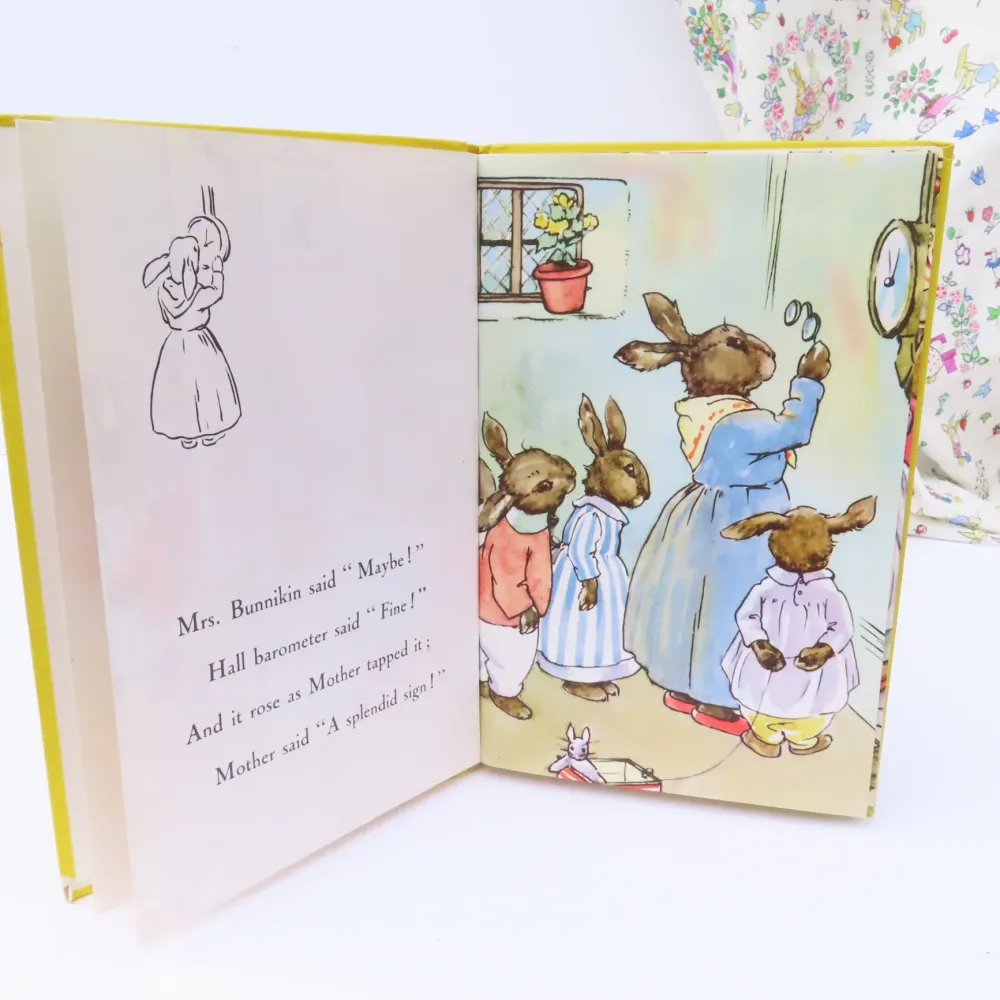 VINTAGE Ladybird book - Bunnikin's Picnic Party (1971)|Cottontails Baby Clearance