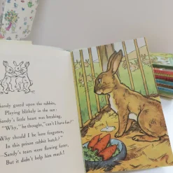 VINTAGE Ladybird book - The Runaway with DJ (late 1950s)|Cottontails Baby Sale