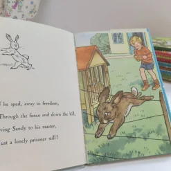 VINTAGE Ladybird book - The Runaway with DJ (late 1950s)|Cottontails Baby Sale