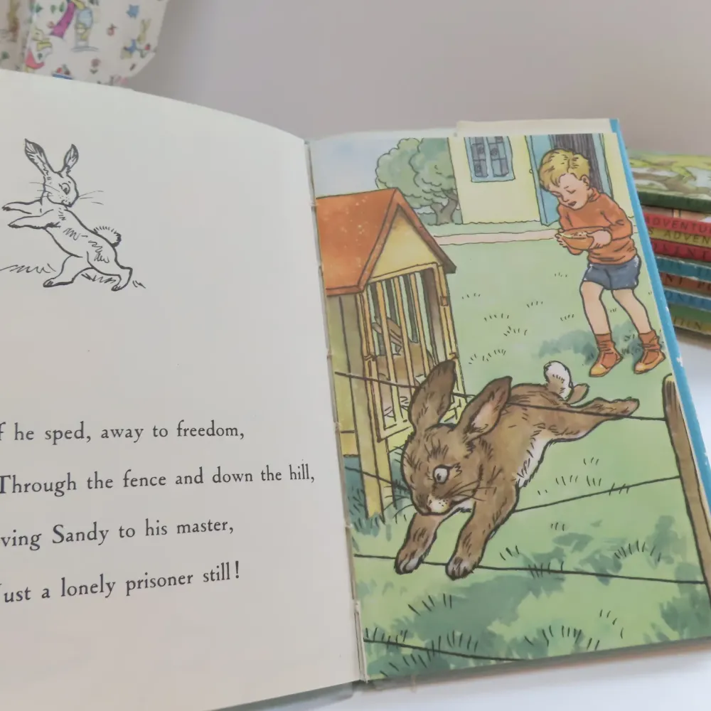 VINTAGE Ladybird book - The Runaway with DJ (late 1950s)|Cottontails Baby Sale